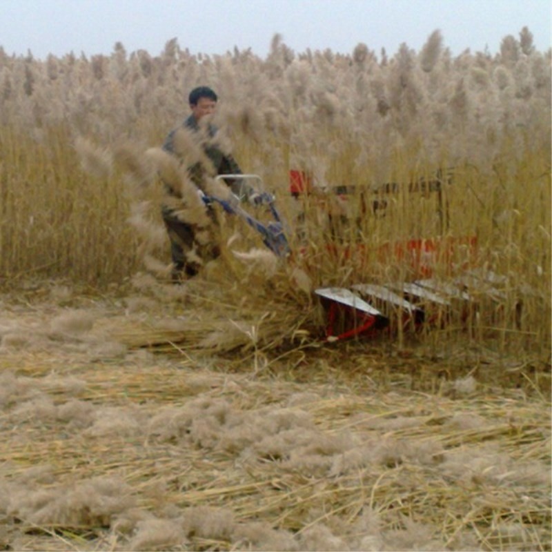 Farm Equipment Small Handy Agr - Agriculture.Farming Design ulasan dan harga