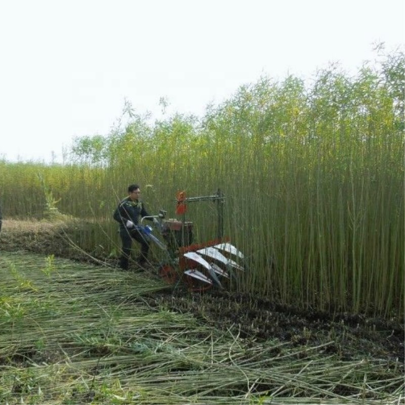 Farm Equipment Small Handy Agr - Agriculture.Farming Design ulasan dan harga