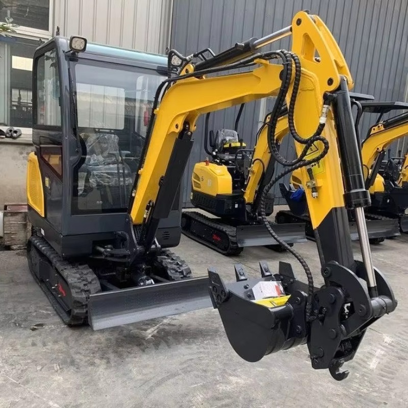 2 Ton Mini Excavator with Swin - Agriculture Farming Work ulasan dan harga
